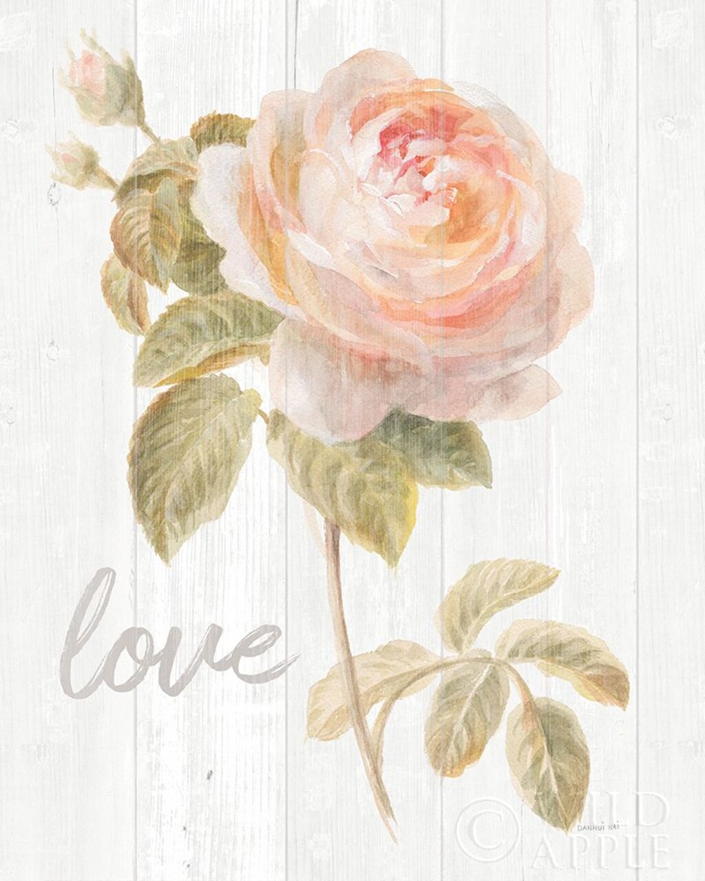 Garden Rose on Wood Love Poster Print by Danhui Nai - Item # VARPDX37142
